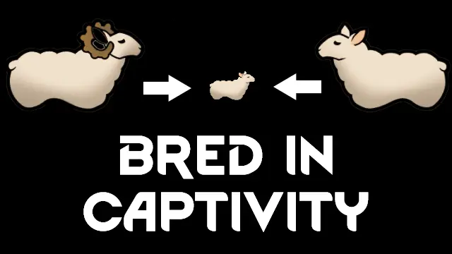 Preview artwork for Bred in Captivity